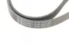 Ремень поликлиновой (Пр-во ContiTech) continental 6PK2250