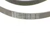 Ремень поликлиновой (Пр-во ContiTech) continental 6PK2260