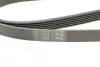 Ремень поликлиновой (Пр-во ContiTech) continental 6PK2260