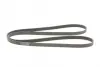 Ремень поликлиновой (Пр-во ContiTech) continental 6PK2260