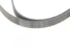 Ремень поликлиновой (Пр-во ContiTech) continental 6PK2264