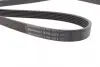 Ремень поликлиновой (Пр-во ContiTech) continental 6PK2271