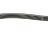 Ремень поликлиновой (Пр-во ContiTech) continental 6PK2330