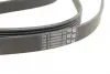Ремень поликлиновой (Пр-во ContiTech) Continental 6PK2370 (фото 3)