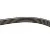 Ремень поликлиновой (Пр-во ContiTech) Continental 6PK2380 (фото 2)
