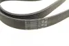 Ремень поликлиновой (Пр-во ContiTech) Continental 6PK2380 (фото 3)
