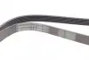 Ремень поликлиновой (Пр-во ContiTech) Continental 6PK2390 (фото 2)