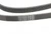 Ремень поликлиновой (Пр-во ContiTech) Continental 6PK2490 (фото 3)