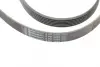 Ремень поликлиновой (Пр-во ContiTech) Continental 6PK2490 (фото 4)