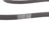 Ремень поликлиновой (Пр-во ContiTech) Continental 6PK2498 (фото 2)