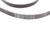 Ремень поликлиновой (Пр-во ContiTech) Continental 6PK2498 (фото 3)