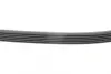 Ремень поликлиновой (Пр-во ContiTech) continental 6 PK 2550