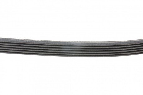 Привідний ремінь генератора continental 6PK2550