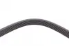 Ремень поликлиновой (Пр-во ContiTech) continental 6PK2585