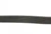 Ремень поликлиновой (Пр-во ContiTech) continental 6 PK 691 ELAST