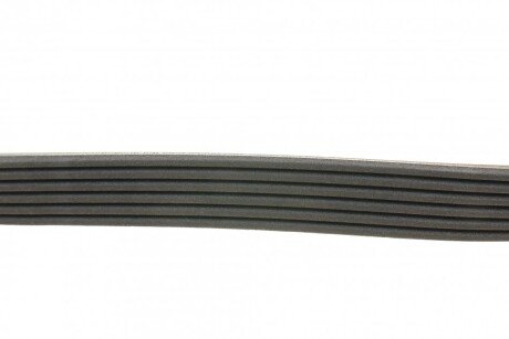 Привідний ремінь генератора continental 6PK691ELAST