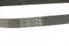 Ремень поликлиновой (Пр-во ContiTech) continental 6 PK 691 ELAST