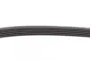 Ремень поликлиновой (Пр-во ContiTech) Continental 6PK737 (фото 3)