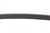 Ремень поликлиновой (Пр-во ContiTech) continental 6 PK 800