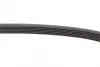 Ремень поликлиновой (Пр-во ContiTech) continental 6 PK 880