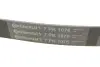 Ремень поликлиновой (Пр-во ContiTech) Continental 7 PK 1076 (фото 4)