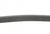 Ремень поликлиновой (Пр-во ContiTech) Continental 7PK1145 (фото 2)