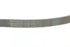 Ремень поликлиновой (Пр-во ContiTech) Continental 7PK1145 (фото 3)