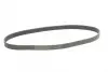 Ремень поликлиновой (Пр-во ContiTech) Continental 7PK1145 (фото 4)