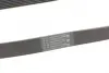 Ремень поликлиновой (Пр-во ContiTech) continental 7 PK 1153