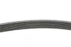 Ремень поликлиновой (Пр-во ContiTech) continental 7PK1549