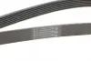Ремень поликлиновой (Пр-во ContiTech) continental 7PK1549