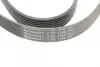 Ремень поликлиновой (Пр-во ContiTech) continental 7PK1549