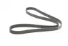 Ремень поликлиновой (Пр-во ContiTech) continental 7PK1549