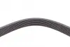 Ремень поликлиновой (Пр-во ContiTech) continental 7PK1605