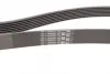 Ремень поликлиновой (Пр-во ContiTech) continental 7 PK 1795