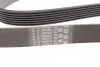 Ремень поликлиновой (Пр-во ContiTech) continental 7PK1834