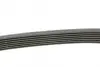 Ремень поликлиновой (Пр-во ContiTech) continental 7PK2035