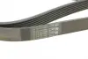 Ремень поликлиновой (Пр-во ContiTech) continental 7PK2035