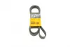 Ремень поликлиновой (Пр-во ContiTech) Continental 7PK2035