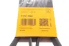 Ремень поликлиновой (Пр-во ContiTech) Continental 7PK2061 (фото 6)