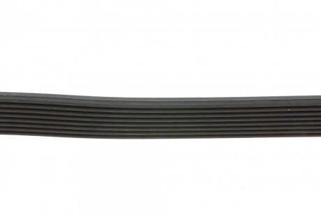 Привідний ремінь генератора continental 8PK1226