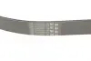 Ремень поликлиновой (Пр-во ContiTech) Continental 8PK1226 (фото 3)