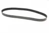 Ремень поликлиновой (Пр-во ContiTech) Continental 8PK1226 (фото 5)