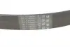 Ремень поликлиновой (пр-во ContiTech) Continental 8 PK 1376 (фото 3)