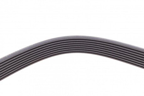 Привідний ремінь генератора continental 8PK1420