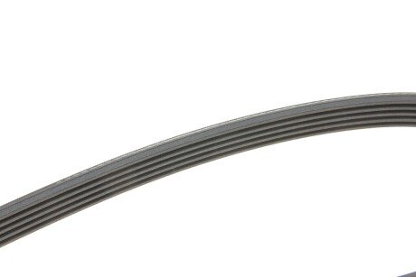 Привідний ремінь генератора continental 5PK1441