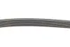 Ремінь генератора поліклиновий continental 6PK1080EXTRA