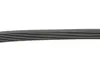 Ремінь генератора поліклиновий Continental 6PK860ELAST (фото 3)