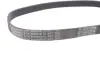 Ремінь генератора поліклиновий Continental 6PK868ELAST (фото 4)