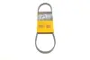 Ремінь поліклиновий continental 3PK725ELAST
